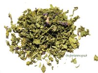 1161_p_malva_fiori_foglie.jpg